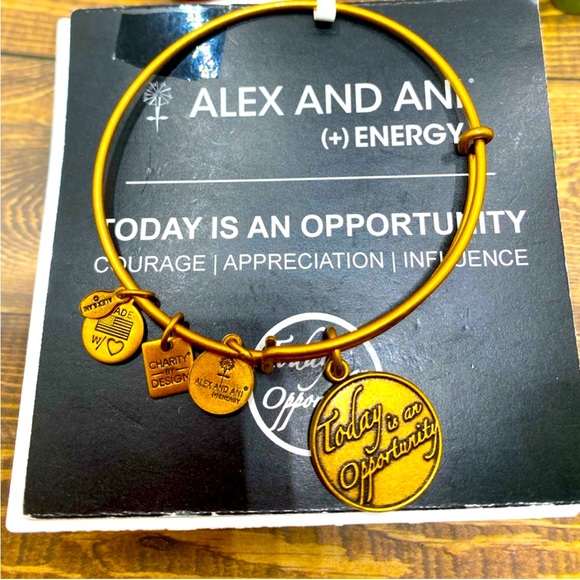 NWT Alex and Ani Women's Today Is An Opportunity charms Bangle Bracelet - Picture 7 of 7